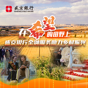 新華網遼寧頻道