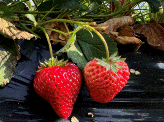 WX20230108-094157@2x