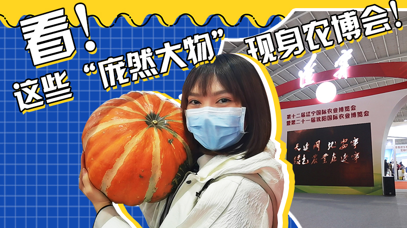 這些&ldquo;龐然大物&rdquo;現身農博會！