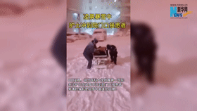 破防了！凌晨暴雪中，護士沖到院門口接患者