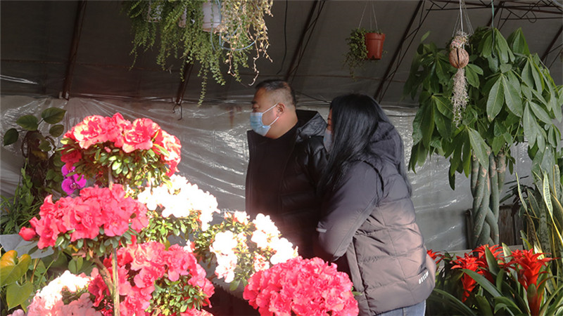 美麗鄉村開出新“花樣”