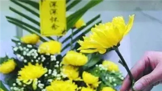 代祭掃業務套路多：清明期間&ldquo;時令性&rdquo;騙局需警惕