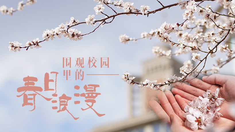 圍觀校園里的春日浪漫