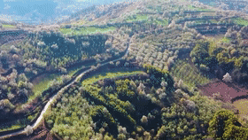 60秒&ldquo;云&rdquo;游春日里的美景