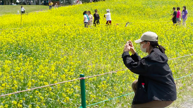 &ldquo;看，我家門口有片花海！&rdquo;