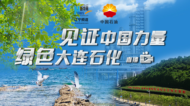 看檢修之后大連石化的嶄新狀態