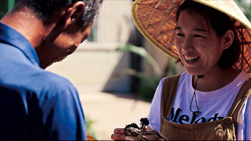 “回家追夢”的“90后”農田主播