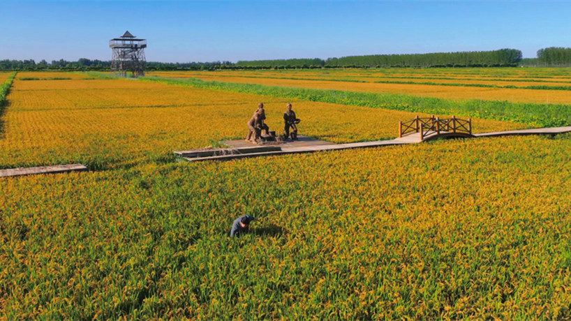 農民豐收節｜“養蟹人”的豐收季