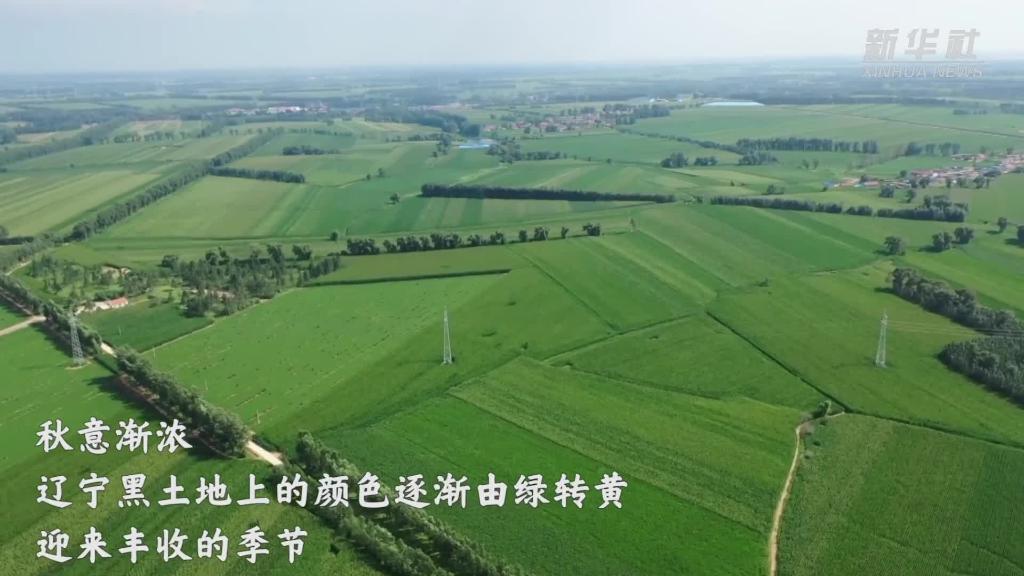 昌圖：科技助力農民豐收