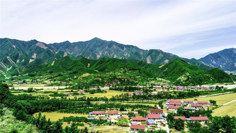 走進縣城看發展｜遼寧莊河：生態優先闖出振興發展新路