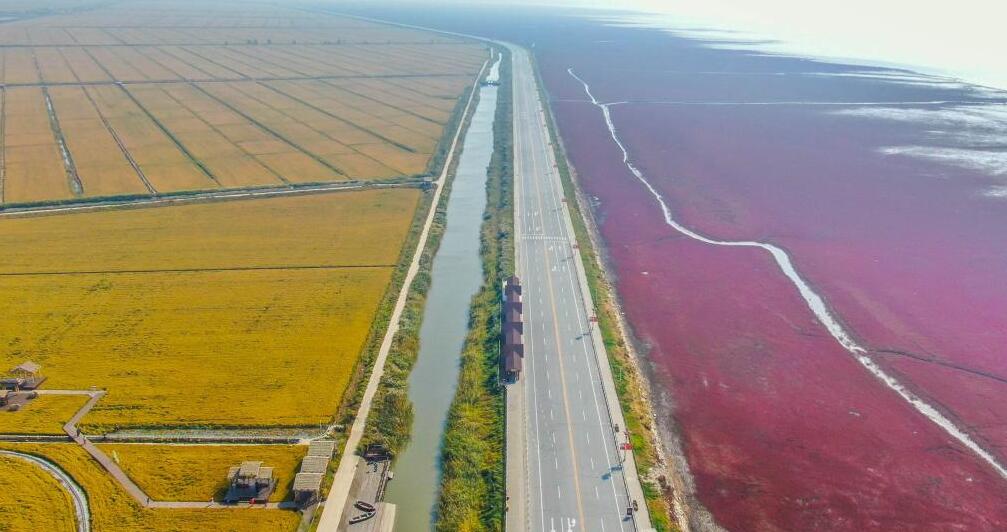 濕地之美丨遼寧遼河三角洲濕地