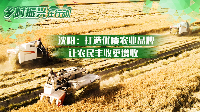 鄉村振興在行動｜沈陽：打造優質農業品牌 讓農民豐收更增收