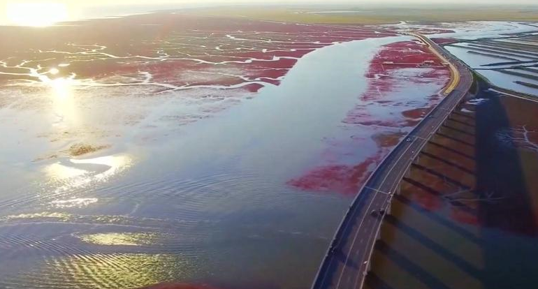 大美濕地城市盤錦