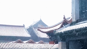 來沈陽故宮看雪景