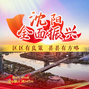 全面振興 沈陽行動丨沈陽全面振興：區區有良策 縣縣有方略