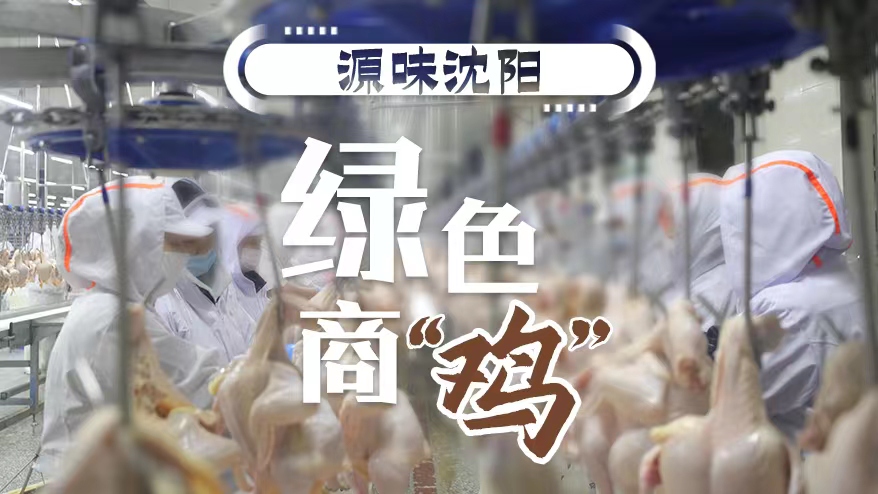 源味沈陽丨綠色商“雞”