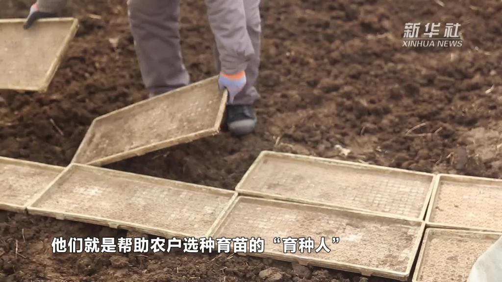 春耕幕后的寒地“育種人”